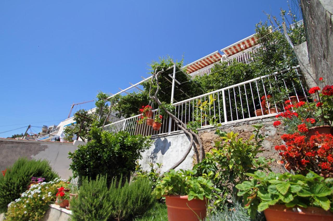 Apartments Ante Dubrovnik Exterior photo